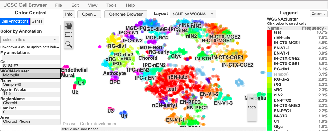 UCSC Cell Browser showing a t-SNE plot of single-cell clusters colored by cell type