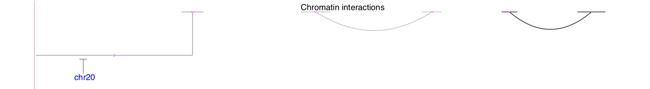 Interact track with directional interactions shown as solid and dashed arcs