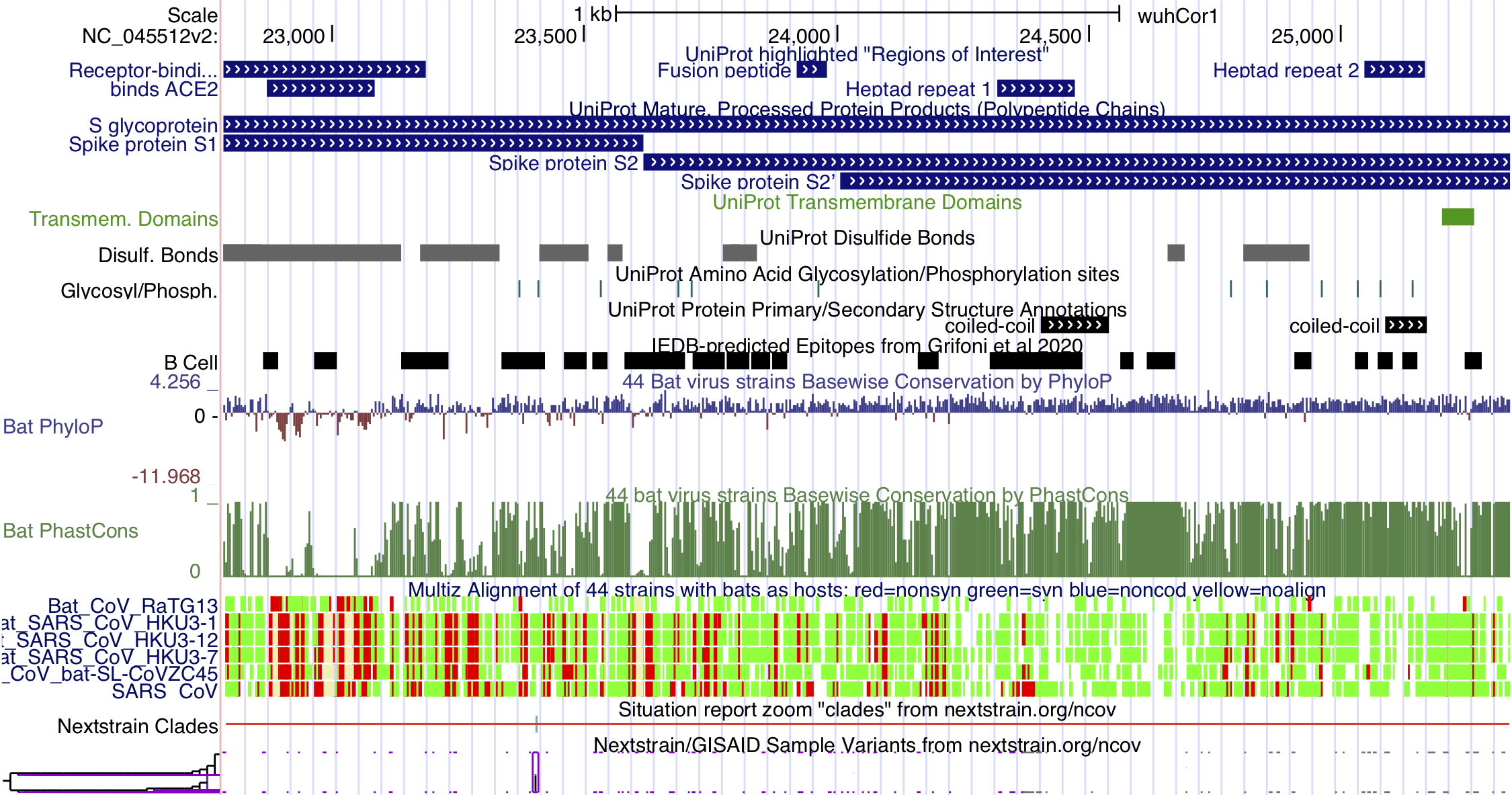 Genome Browser session showing SARS-CoV-2 spike protein annotations, conservation, and variant tracks