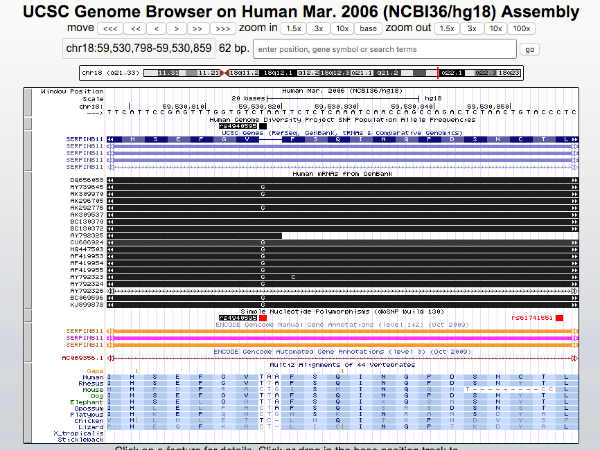 Browser session showing stop codon display in the hg18 assembly