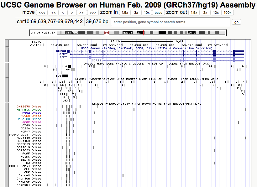 Browser session showing DNase hypersensitivity signal across cell types