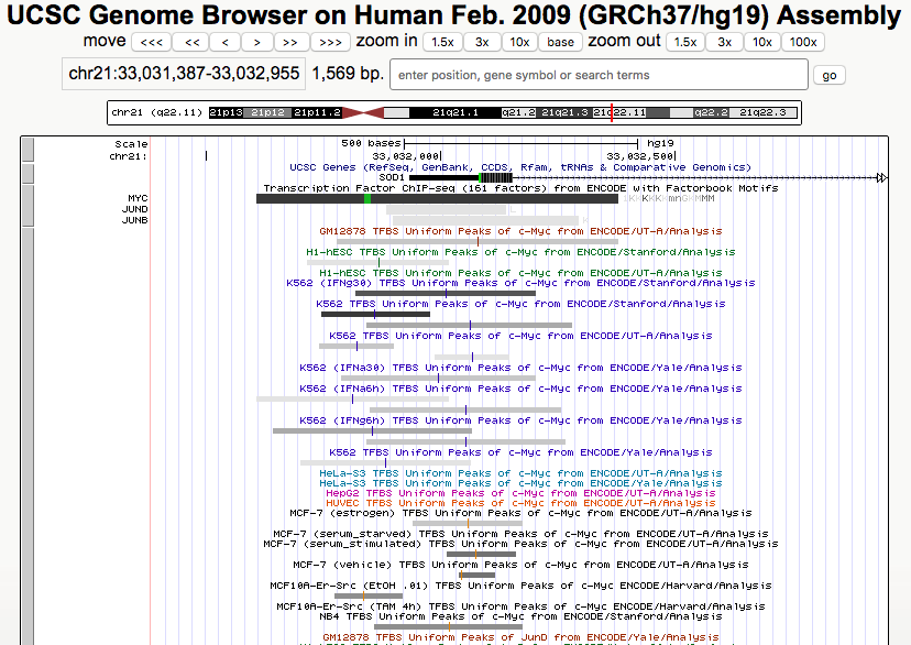 Browser session displaying transcription factor binding site clusters from ENCODE