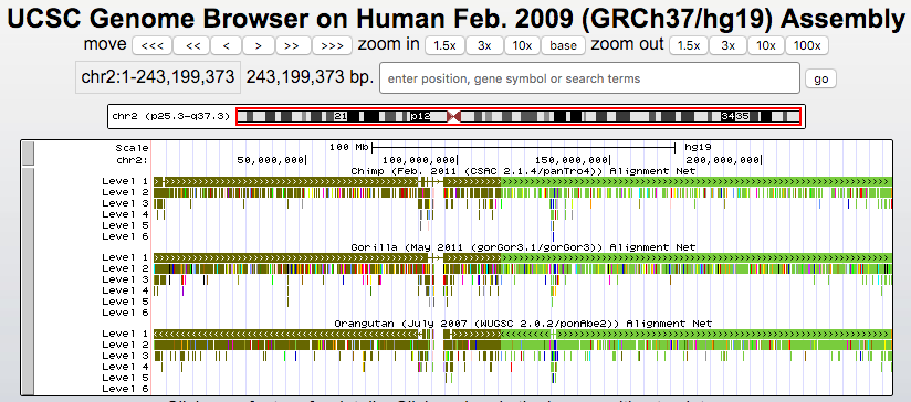 Browser session comparing human and chimpanzee genome alignments