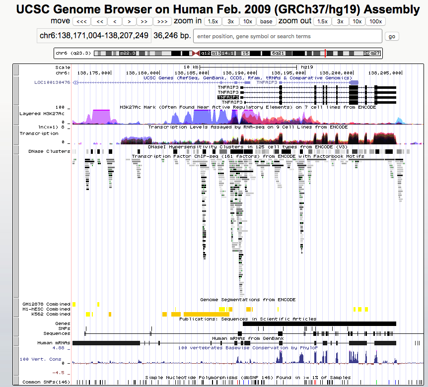 Browser session highlighting enhancer regions with regulatory annotations