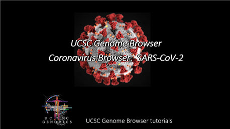 Thumbnail for the GTEx gene expression tutorial video