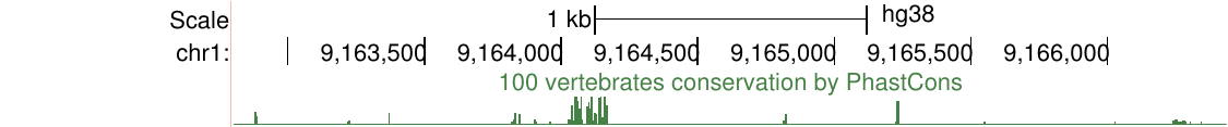 Wiggle track in pack display mode showing a compressed histogram-like view